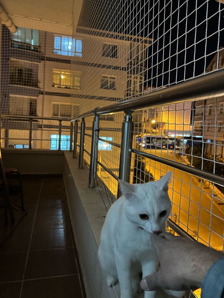 Devrim Güvenlik Filesi